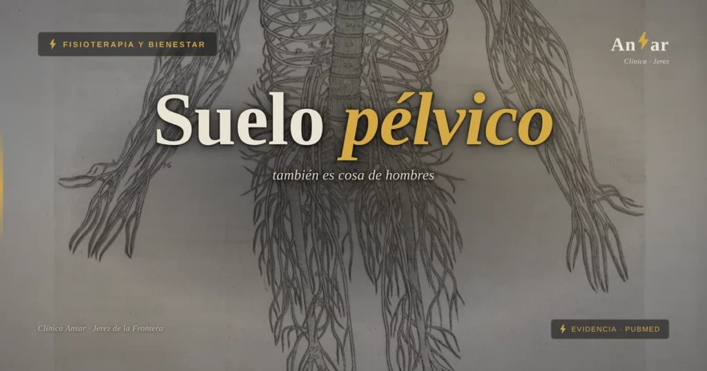 Suelo pélvico masculino: por qué los hombres también deberían cuidarlo — Clínica Ansar, fisioterapia en Jerez de la Frontera